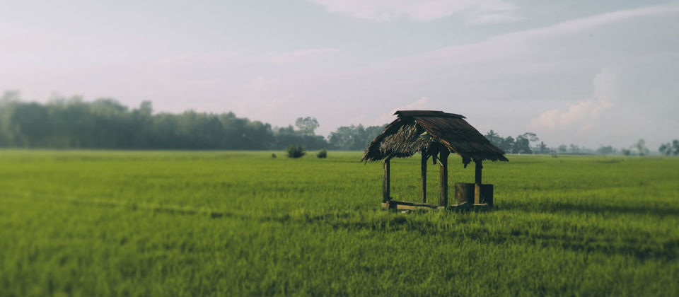 The Third Well